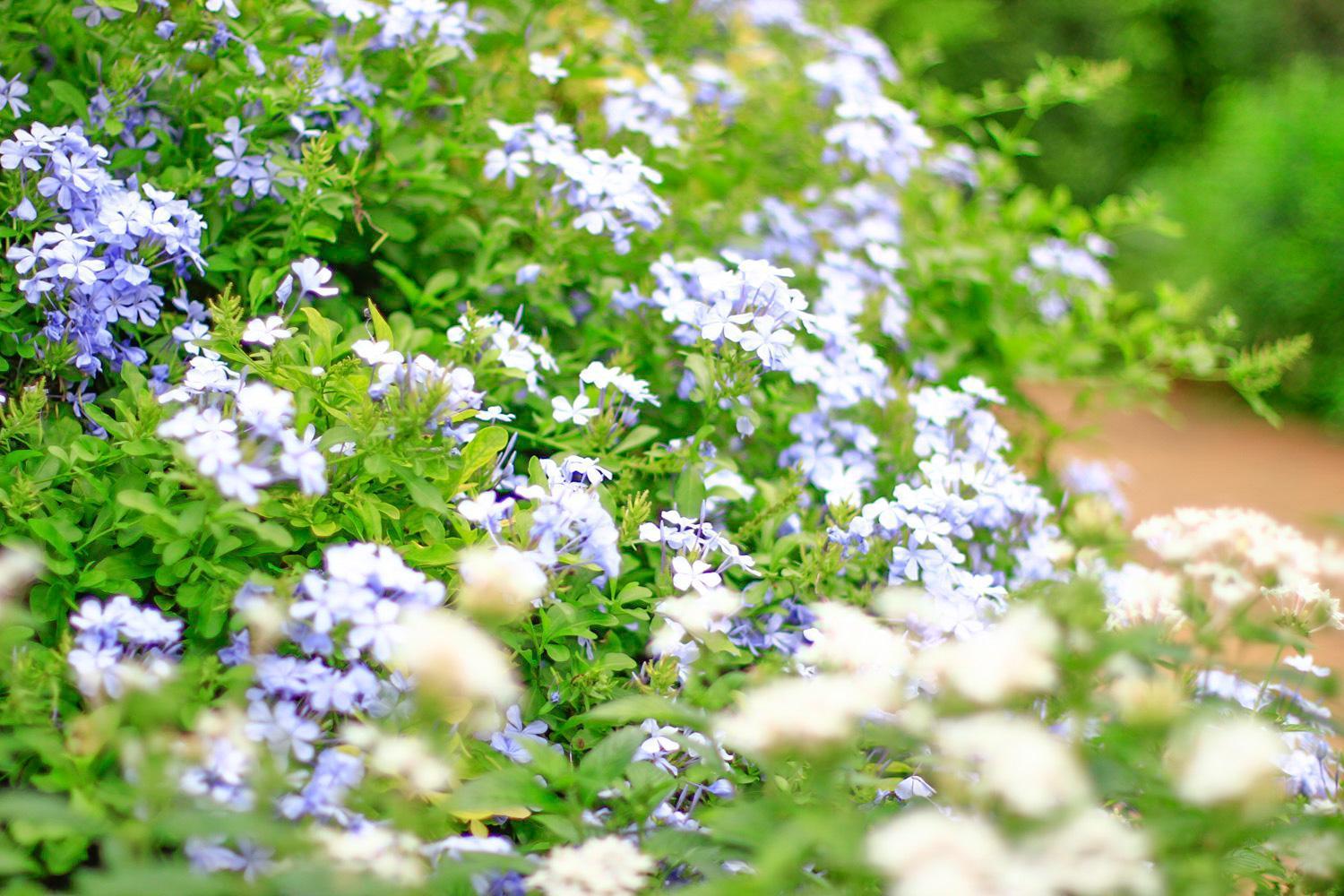 Pottery Flower B&B Jiji Extérieur photo